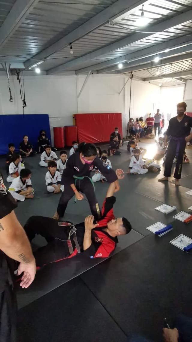 Pro martial arts gallery photo